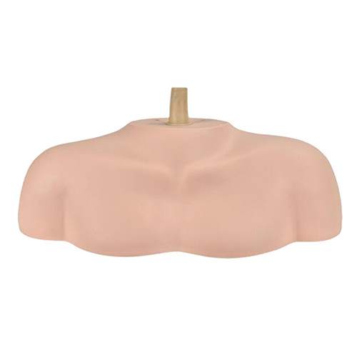 Georgia | Head mold base head bracket head mold shoulder bag bracket head and shoulder rack